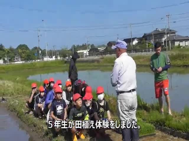 0c95d5127bb31a29ab754ae5b5189c92