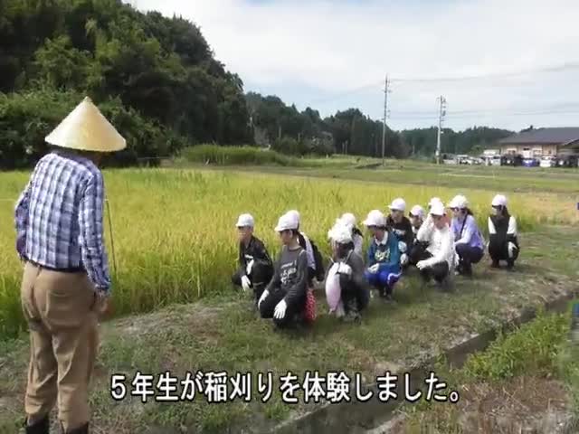 2cd2e085f1d9782edd0a38b12c8b3ee4