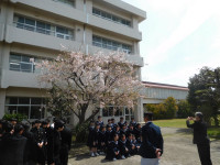 DSCN8191