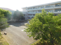 DSCN8304