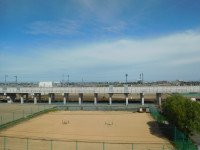 DSCN8316