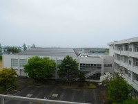 DSCN8334