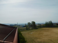 DSCN8345