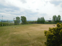 DSCN8365