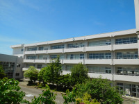 DSCN8392