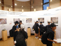 DSCN3186