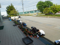 DSCN8536