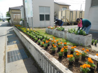 DSCN8542