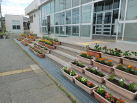DSCN8548