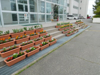 DSCN8547