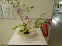 DSCN8592