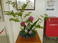 DSCN8591