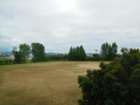 DSCN8633