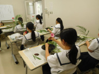 DSCN8638