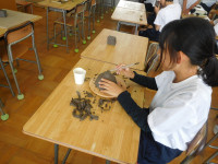 DSCN8713