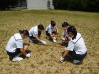 DSCN8798