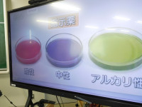 DSCN8955