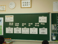 DSCN8993