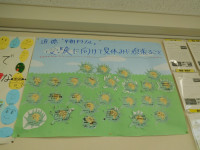 DSCN8988