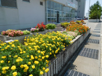 DSCN9222