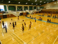 DSCN9545