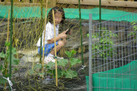 DSC07105