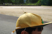 DSC07141