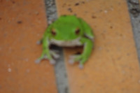 DSC07380