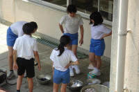 DSC08010