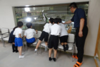 DSC08081