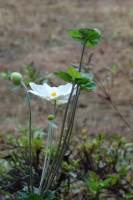 DSC08823