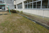 DSC08854