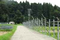 DSC08935