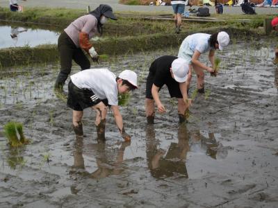 田植え５