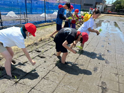 0511田植え5年①