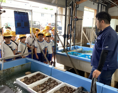0618橋立漁港見学3年①