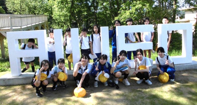 6年