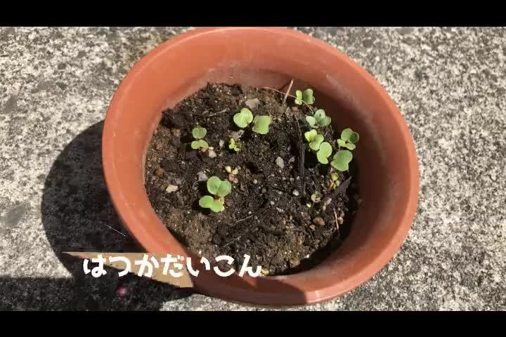 d0162e526dccaf4a0b8680aad1180fe0