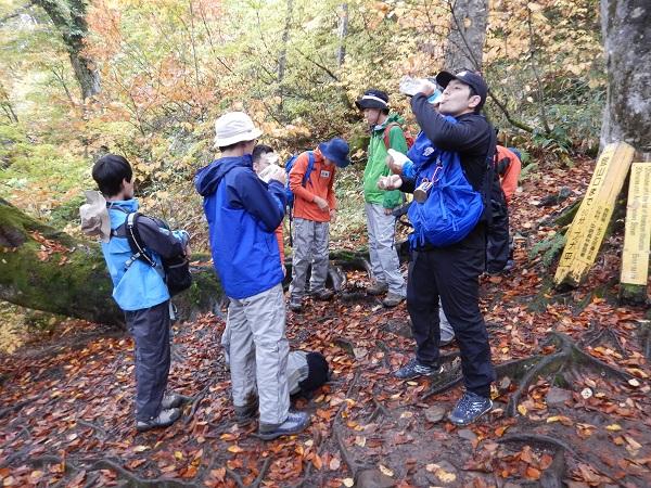 ブナ平（1400m付近）