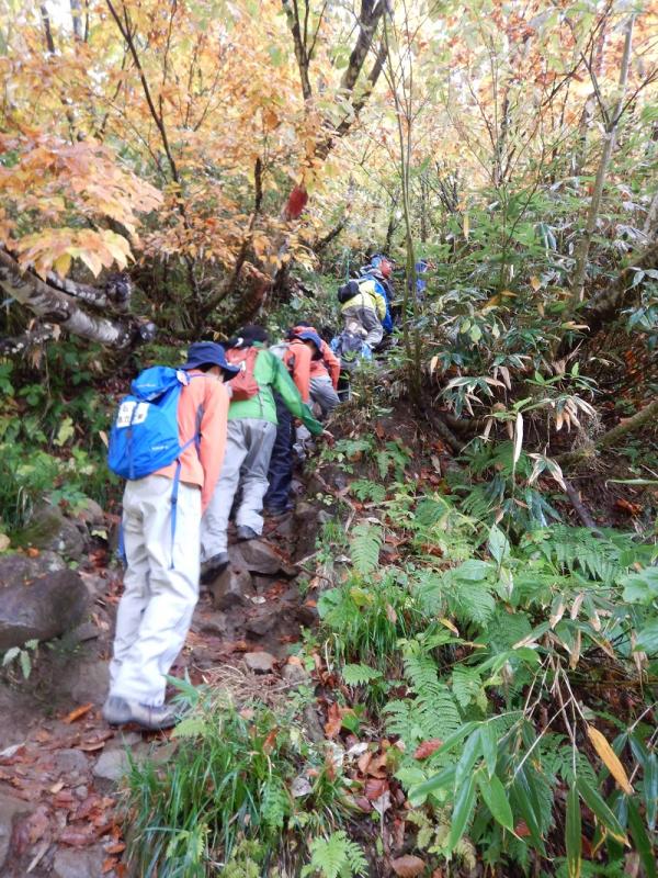 荒菅沢を出て、すぐに急登が始まる（1482m）