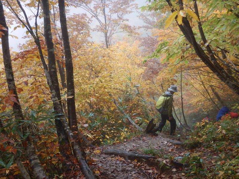 紅葉の中を下る（荒菅沢すぎて、1500m）