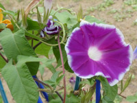 P1002861