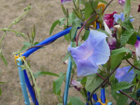 P1002862