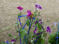 P1002864