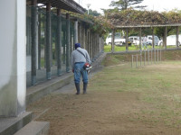 P1100296