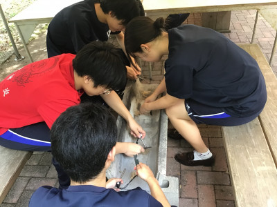 火起こし