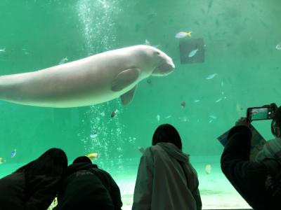 Ｂ隊２日目鳥羽水族館１