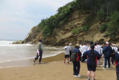片野海岸で露頭の観察