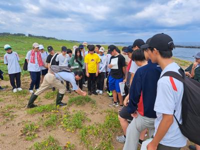 塩屋海岸の植物調査
