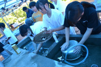 DSC_0450